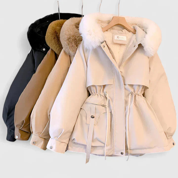 Elegant Jacket