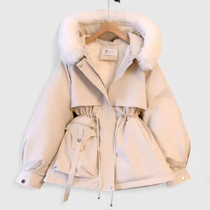 Elegant Jacket