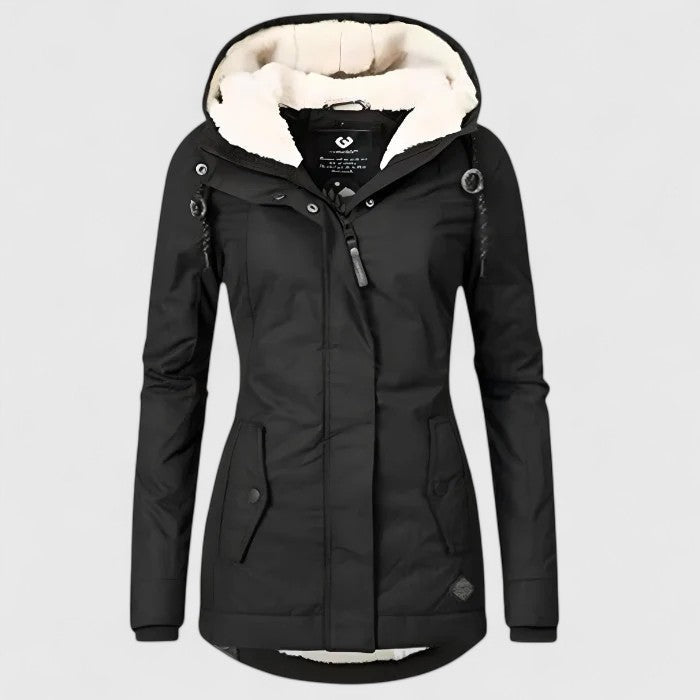 Sophisticated Jacket