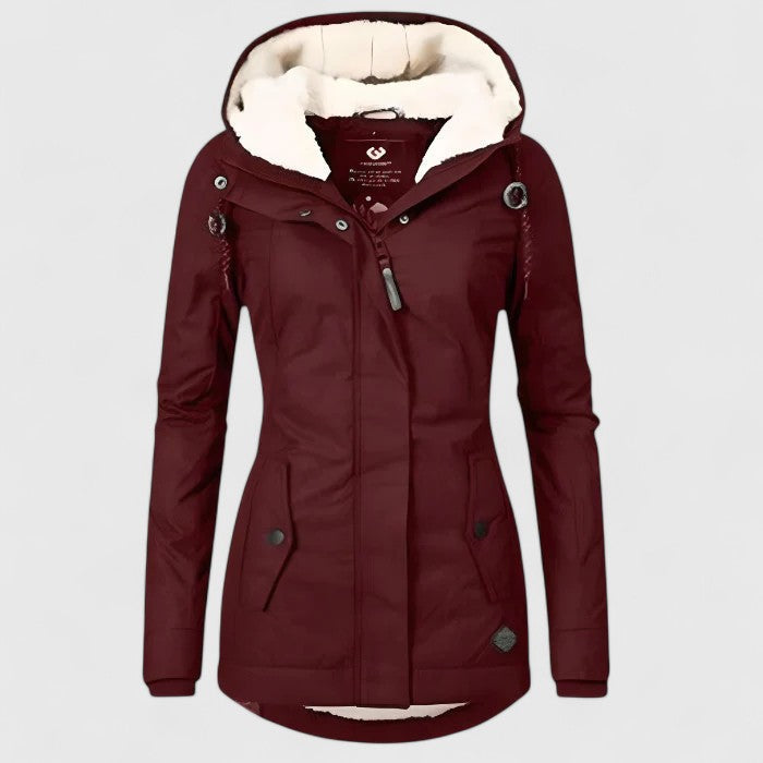 Sophisticated Jacket
