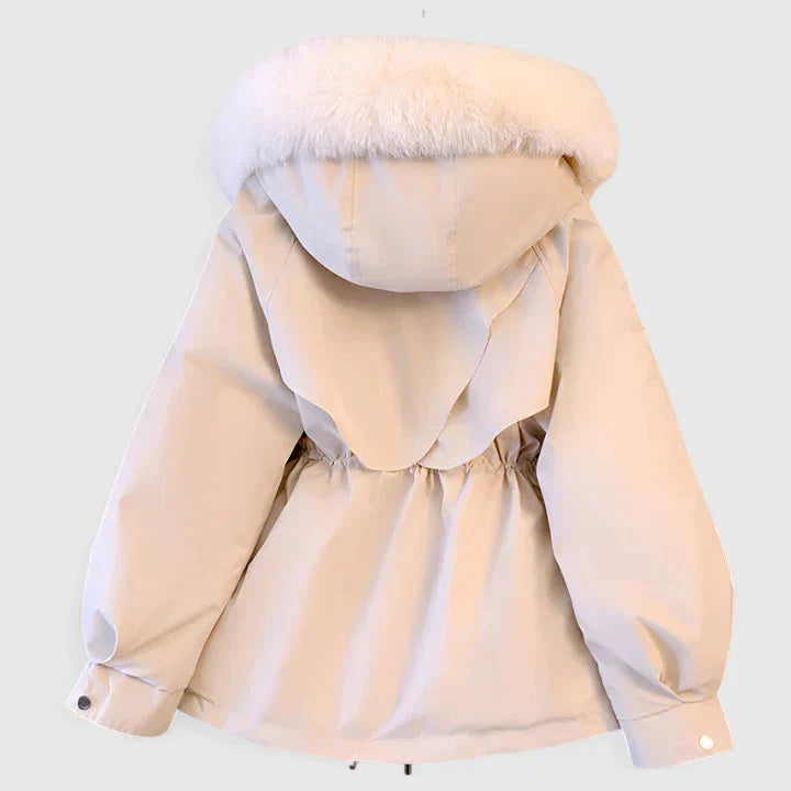 Elegant Jacket