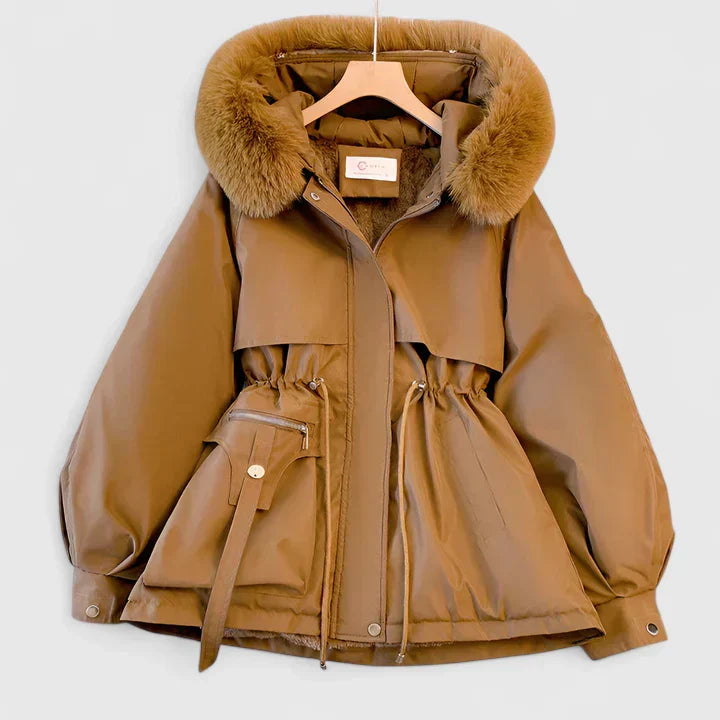 Elegant Jacket