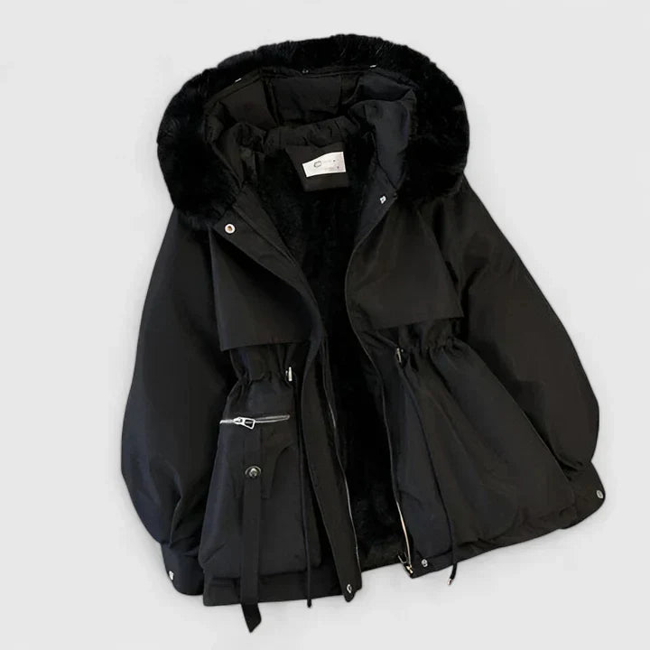 Elegant Jacket